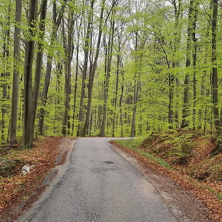 Truth Wines House * Veliki Vrh